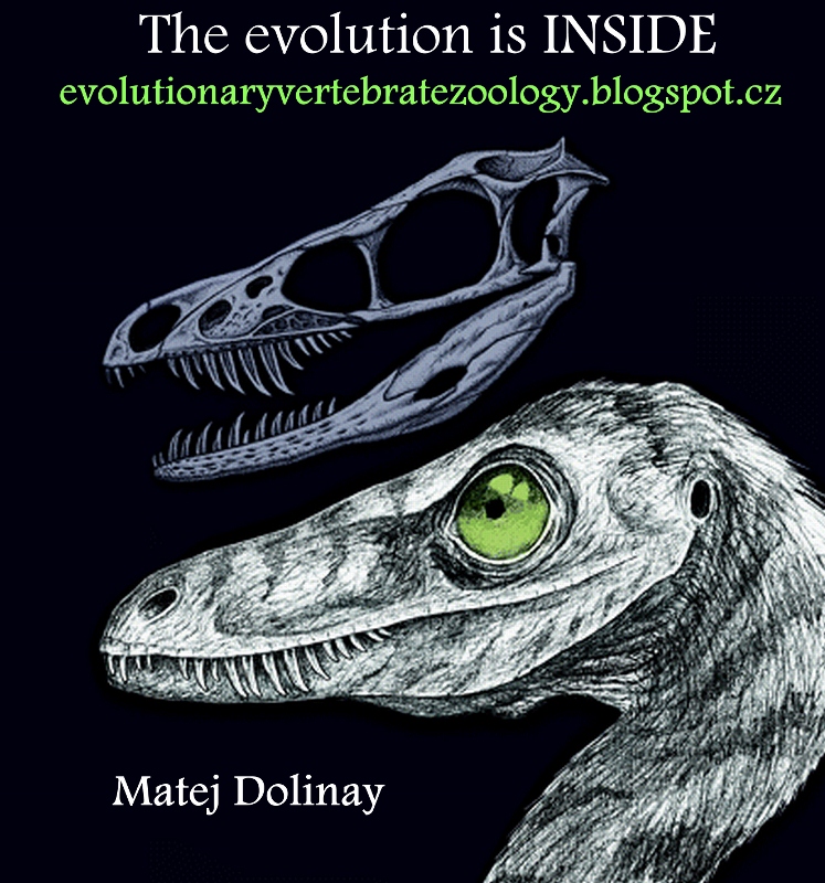 Evolutionary Vertebrate Zoology